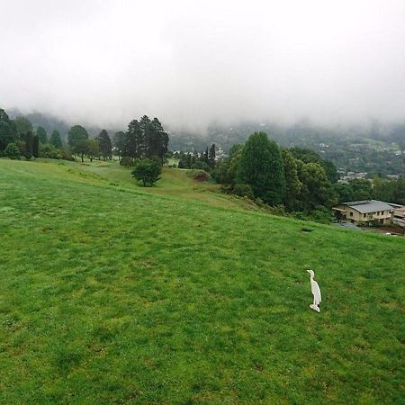 Duncountry Victoria Country Club Bed and Breakfast Pietermaritzburg Eksteriør billede